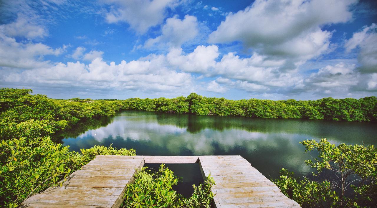 ホテル Nativus Glamping & Cenote トゥルム エクステリア 写真