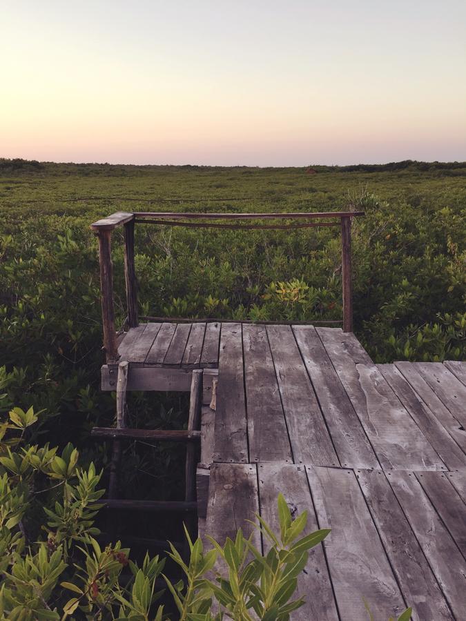 ホテル Nativus Glamping & Cenote トゥルム エクステリア 写真