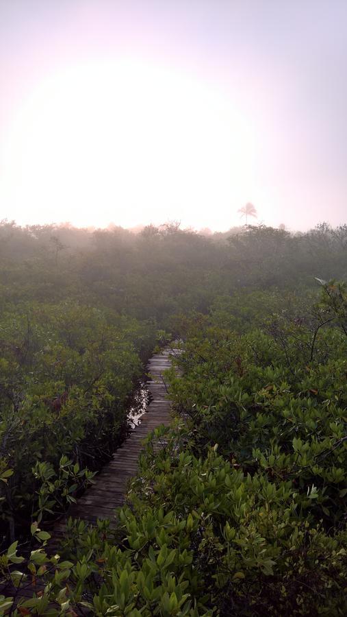 ホテル Nativus Glamping & Cenote トゥルム エクステリア 写真